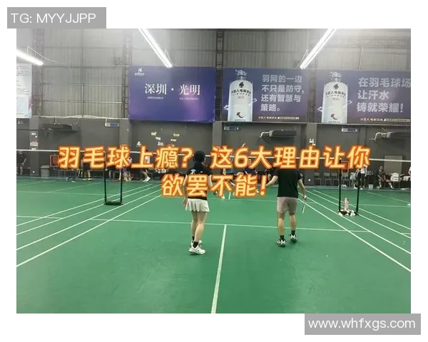 深圳羽毛球队的节奏与激情探索羽毛球运动的魅力与发展