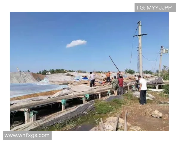 西安极限运动队速度之争引发热议与关注的背后故事